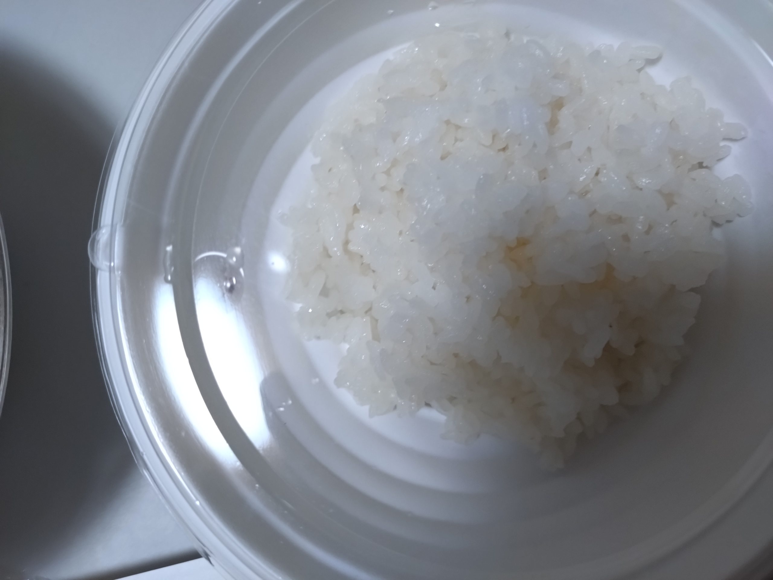 ご飯のフタ付き容器。外側がスープで濡れている状態